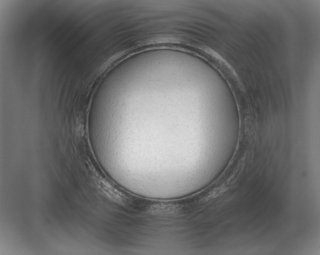 X0000083000929200702160045