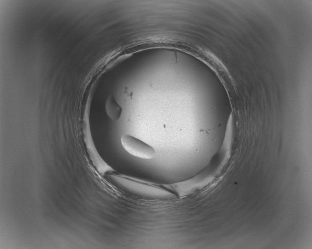 X0000083000930200702160045