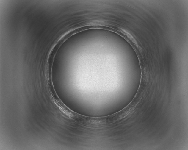 X0000083000931200702160045