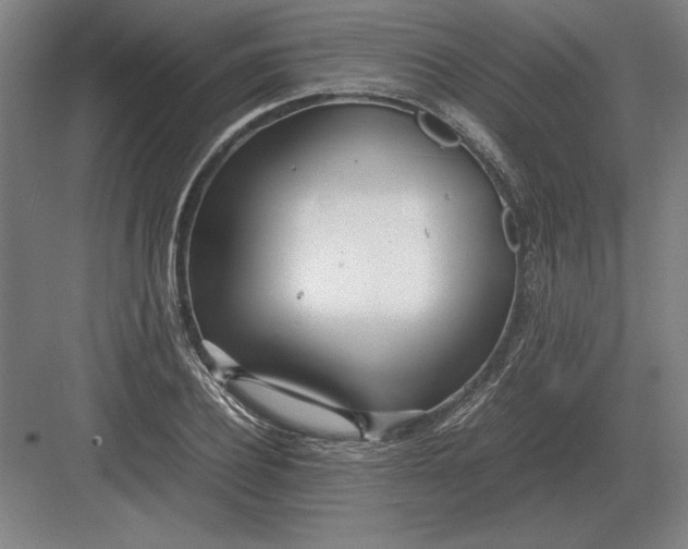 X0000083000932200702160045