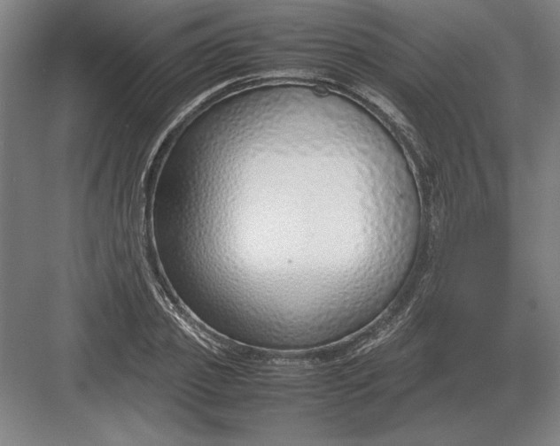 X0000083000933200702160045