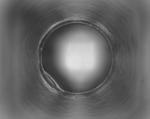 X0000083000934200702160045