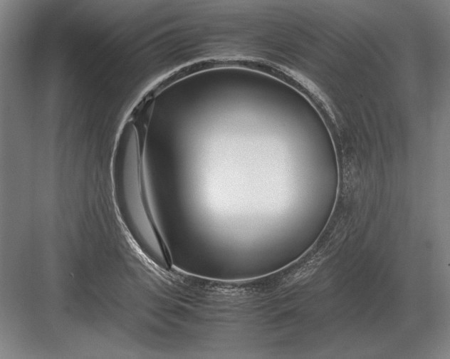 X0000083000935200702160046