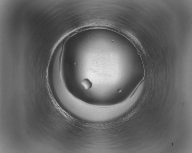 X0000083000936200702160046