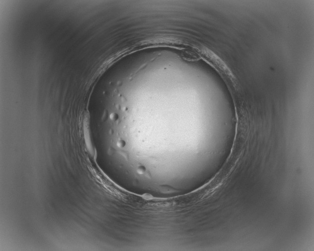 X0000083000937200702160046