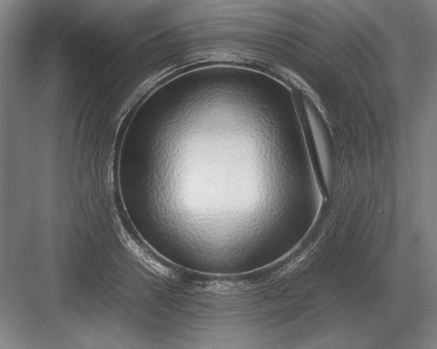 X0000083000938200702160046