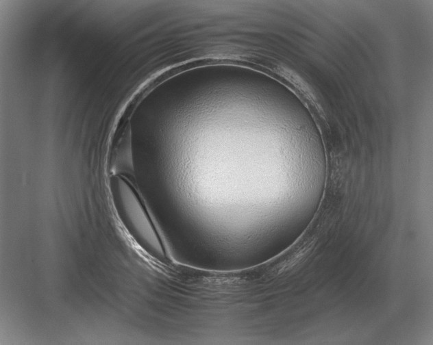 X0000083000939200702160046