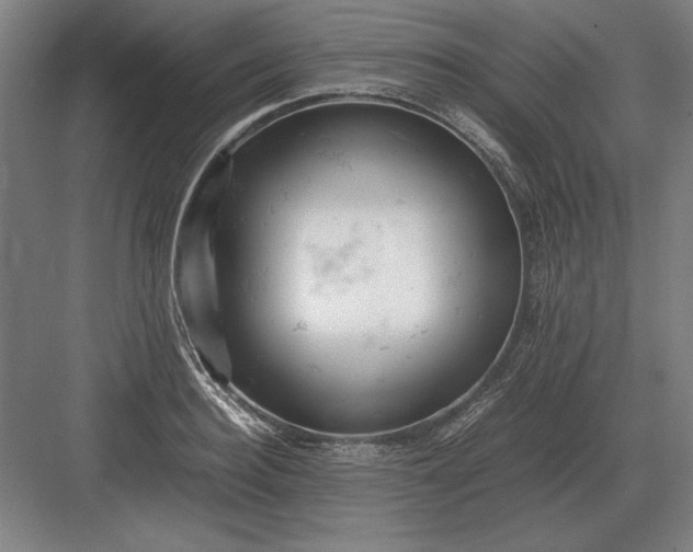 X0000083000940200702160046