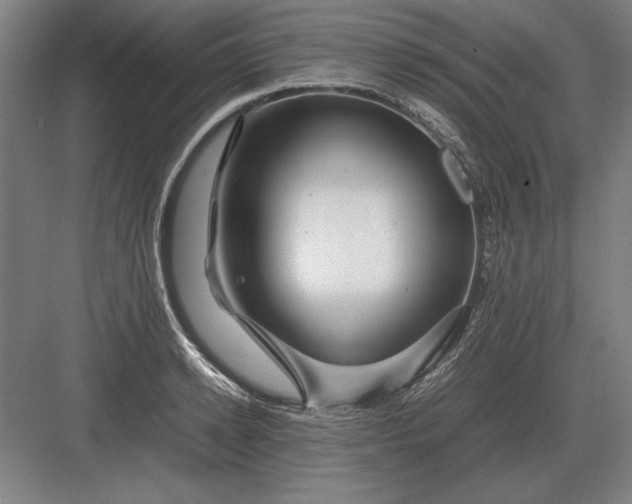 X0000083000942200702160046