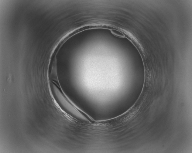 X0000083000943200702160046