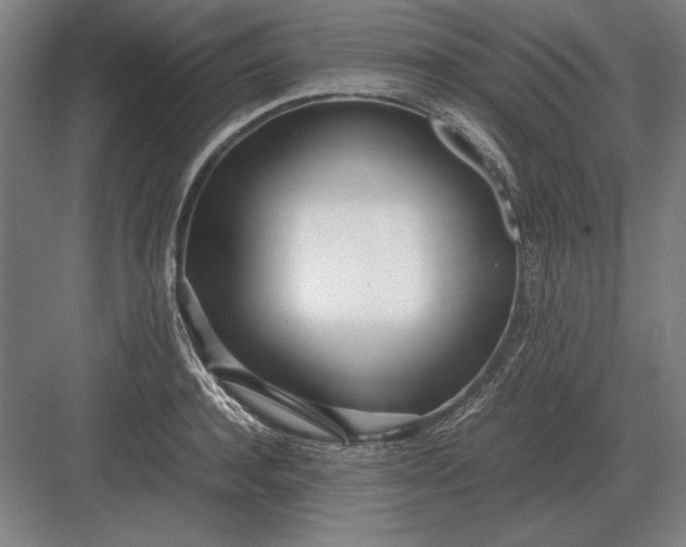 X0000083000944200702160046