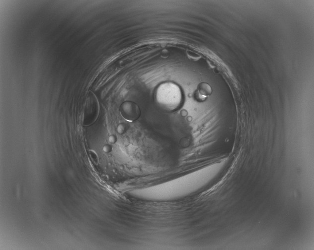 X0000083000945200702160046