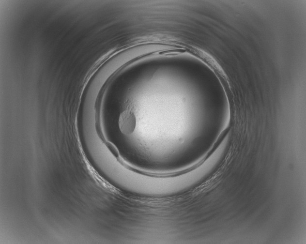 X0000083000946200702160046