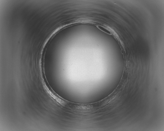 X0000083000947200702160046