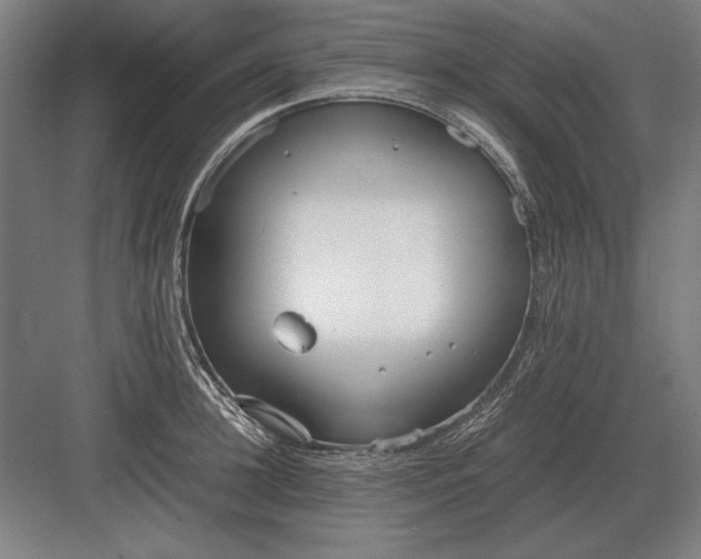 X0000083000948200702160046