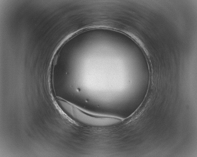 X0000083000949200702160046