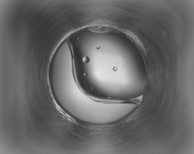 X0000083000950200702160046