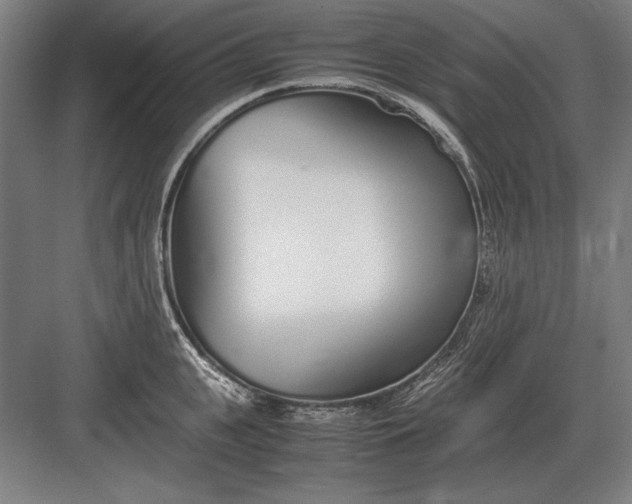 X0000083000951200702160046