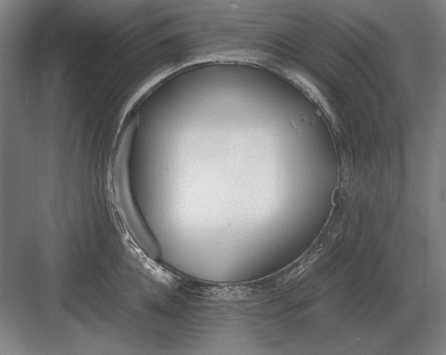 X0000083000952200702160046