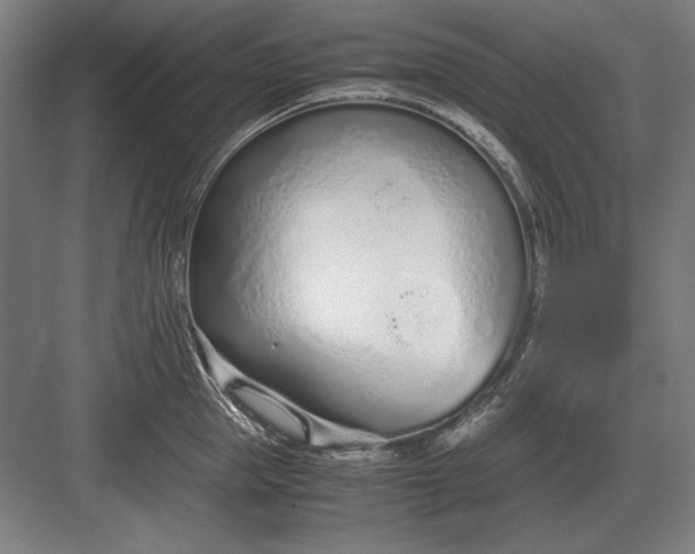 X0000083000953200702160046