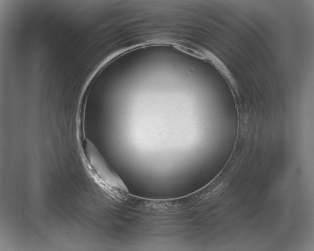 X0000083000955200702160046