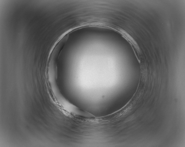 X0000083000956200702160046