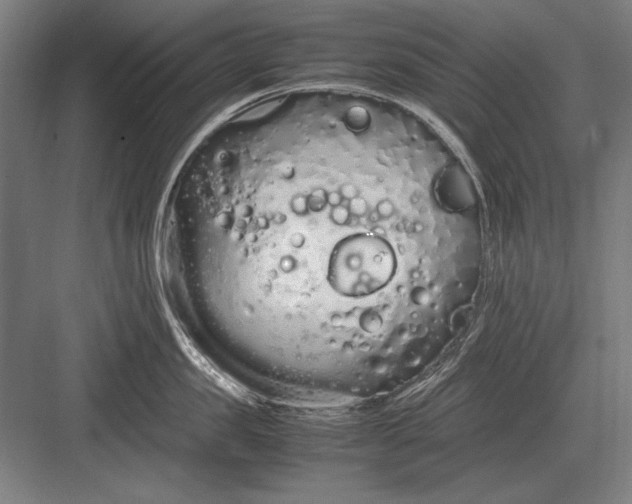 X0000083000957200702160046