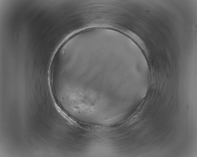 X0000083000958200702160046