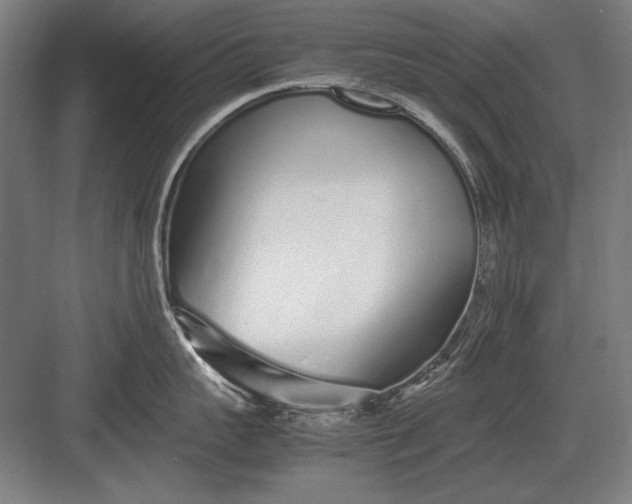 X0000083000959200702160046