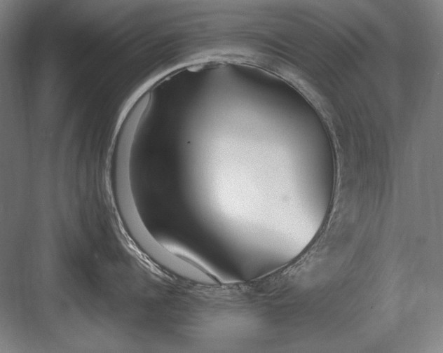 X0000083000960200702160046