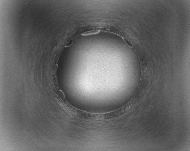 X0000083000961200702160045