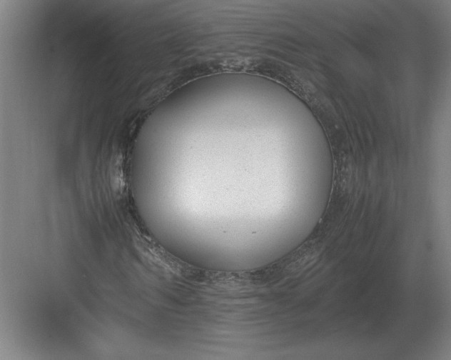 X0000083000962200702160045