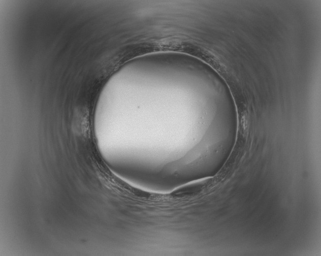 X0000083000963200702160045