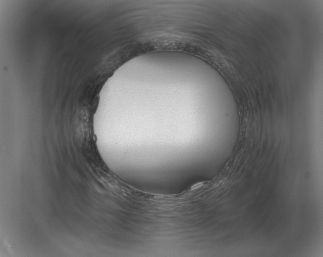 X0000083000964200702160045