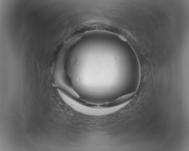 X0000083000965200702160045