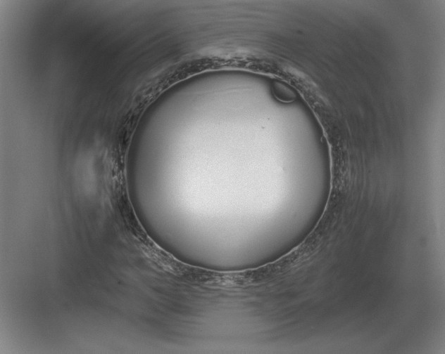 X0000083000966200702160045