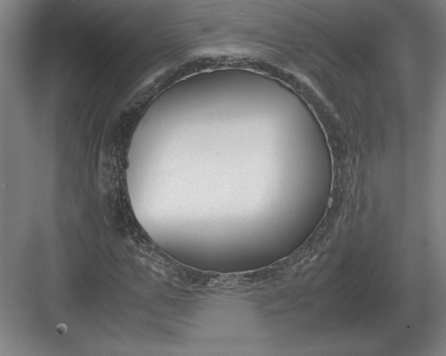 X0000083000967200702160045