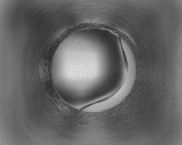 X0000083000968200702160045