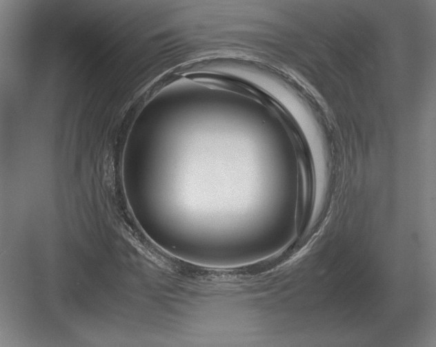 X0000083000969200702160045