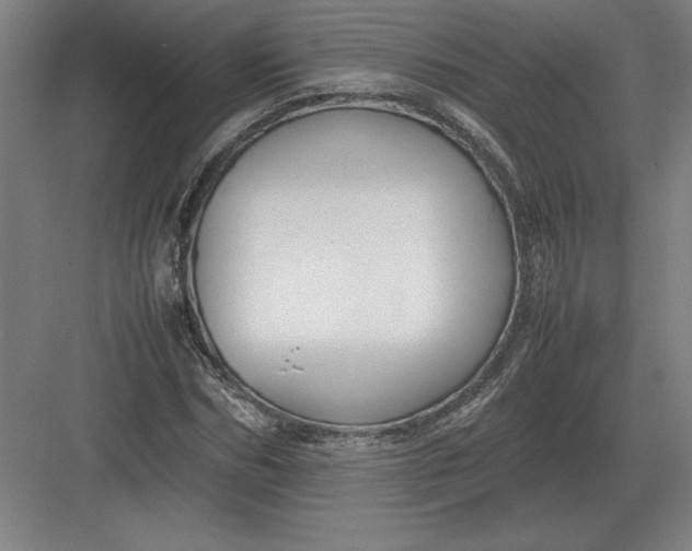 X0000083000970200702160045