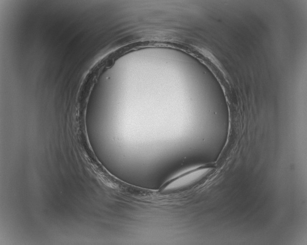 X0000083000971200702160045