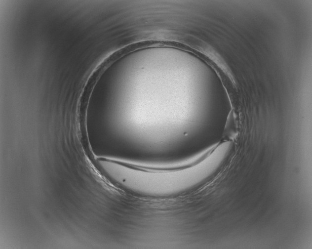 X0000083000972200702160045