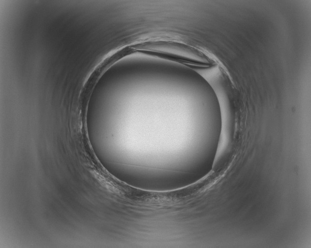 X0000083000973200702160045