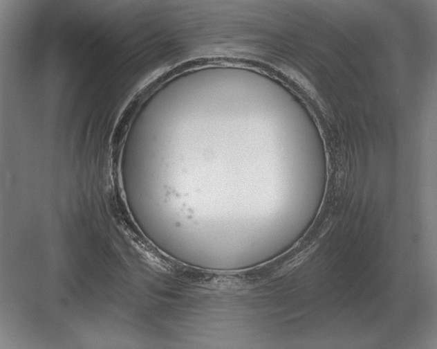 X0000083000974200702160045