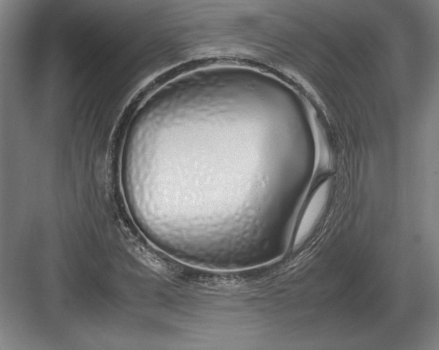 X0000083000975200702160045