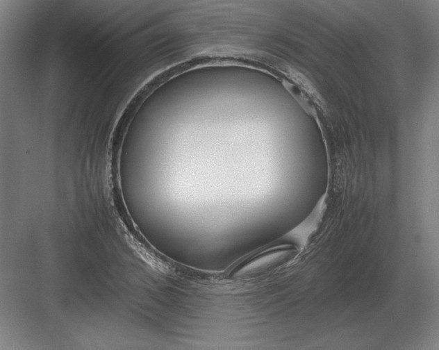 X0000083000976200702160045