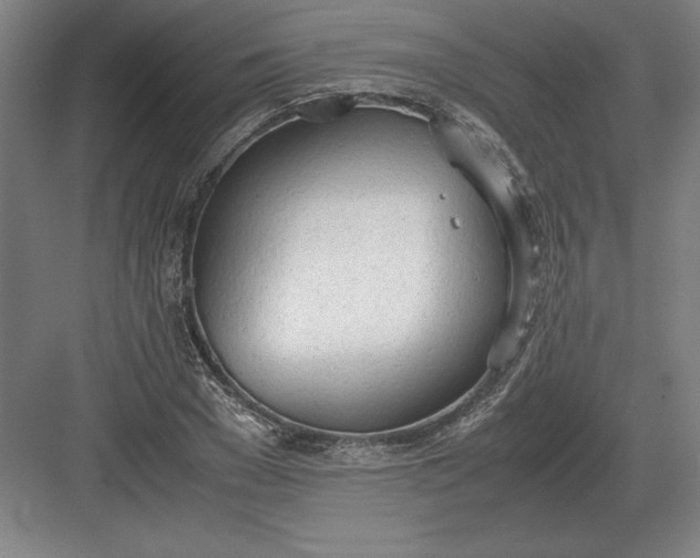 X0000083000977200702160045