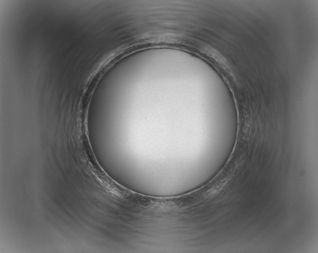 X0000083000978200702160045