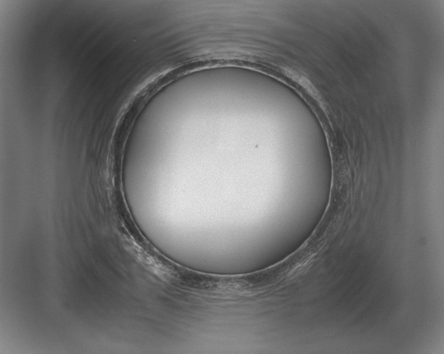 X0000083000979200702160045