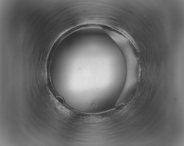 X0000083000980200702160045